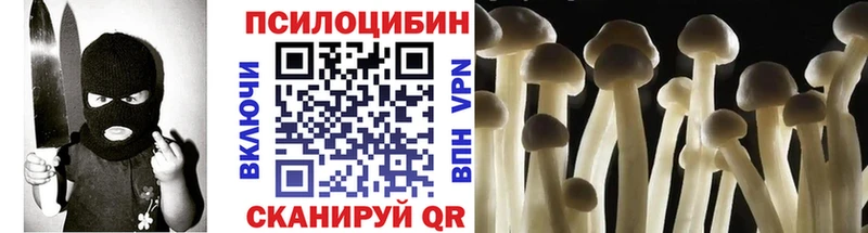 Галлюциногенные грибы GOLDEN TEACHER  Купить закладки  Приволжский 